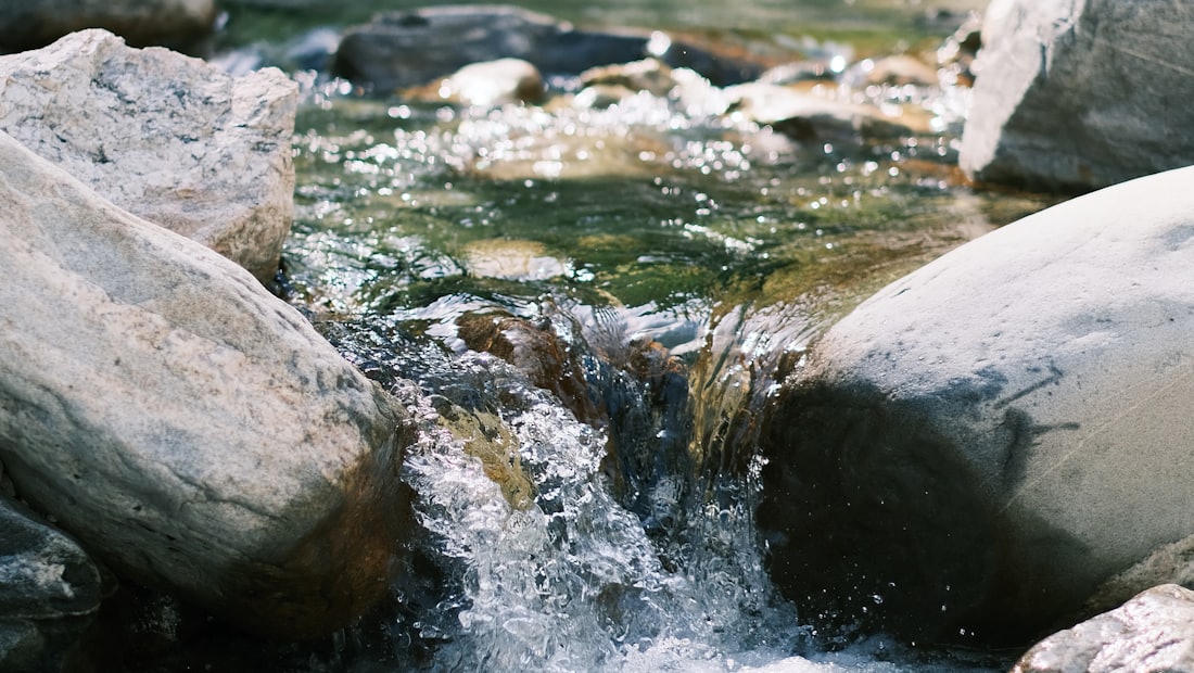 A stream splitting around rocks as it flows through a forest
