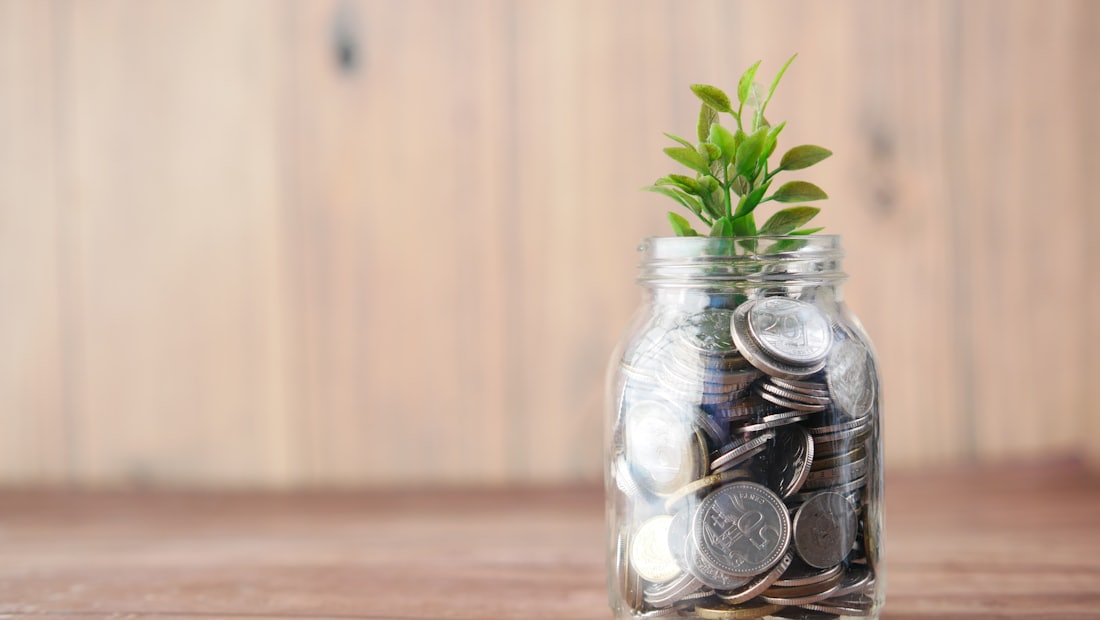 Glass jar filled with coins with a small plant growing from it